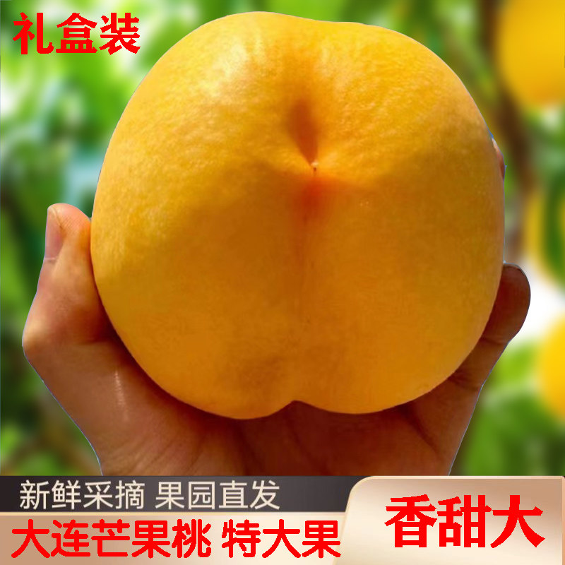 黄油桃大连黄金芒果桃果王礼盒