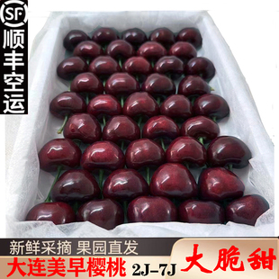 大连美早樱桃6j大樱桃新鲜水果包邮5斤礼盒7j超大果2026年2月上架