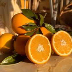 正宗江西赣南脐橙信丰安西脐橙源头新鲜水果橙子安西脐橙顺丰包邮