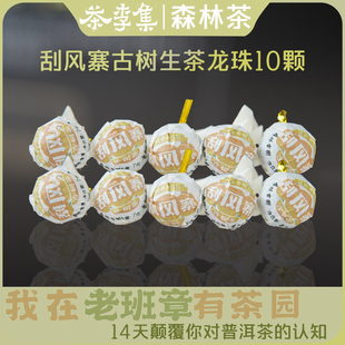 【新人见面礼】刮风寨古树龙珠生茶7g/袋到手10颗70g