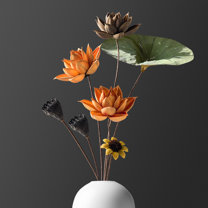 果壳干花家居荷花混搭