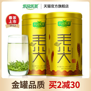 乐品乐茶毛尖，明前特级嫩芽绿茶125g*2