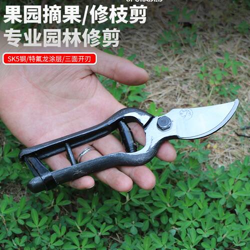 老式铁匠锻打土枝剪望儿山果树剪刀修枝剪园艺小剪刀修树枝古董剪