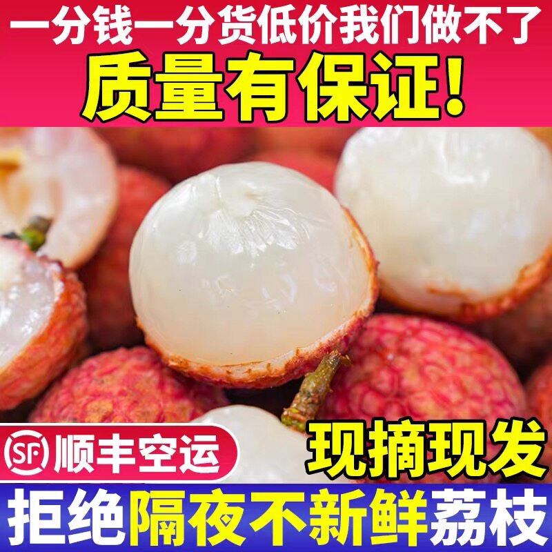 老树白糖罂荔枝新鲜摘广东茂名高州荔枝顺丰糯米桂妃子味笑糍水果