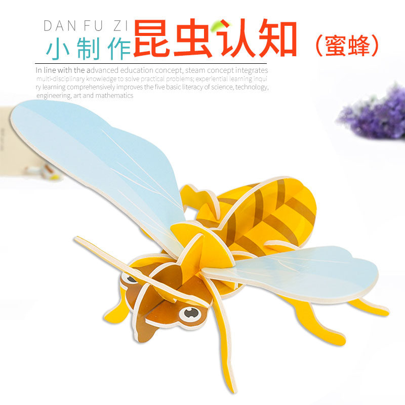 学生科技小制作幼儿园科学小实验儿童手工diy昆虫认知蜜蜂材料包