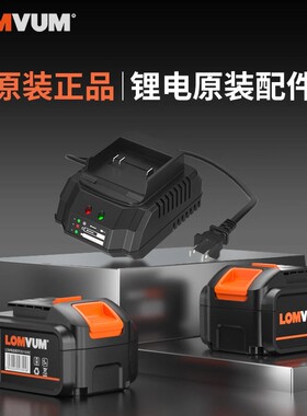 龙韵12V充电钻锂电池20V手电钻电池16.8V电转手枪钻电动螺丝刀