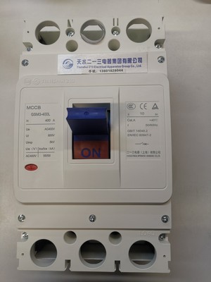 原装正品天水二一三塑壳式断路器GSM3-400L/3300 225A-400A（GSM1