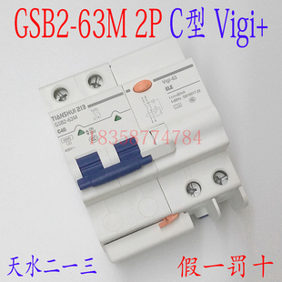 GSB2L 天水二一三GSB2 原装 C25A 63M 2P漏电断路器 正品 Vigi