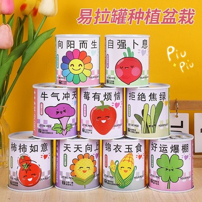 儿童植物罐头创意小盆栽栽培桌面迷你绿植草莓向日葵种植种子盲盒