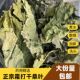 霜桑叶中药材霜打过 干桑叶泡茶桑叶干冬桑叶晒干桑叶正品 桑叶茶