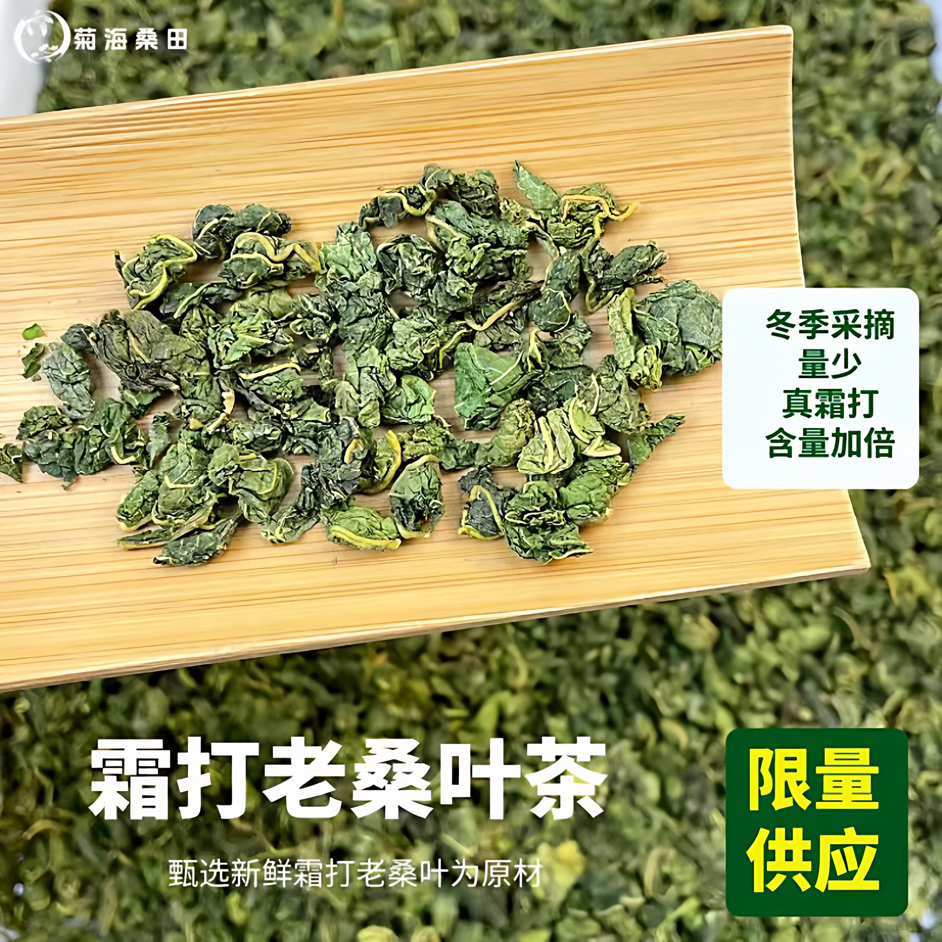 正宗霜打桑叶茶中药材老桑树叶泡水正品霜桑叶冬桑叶干桑叶桑葚叶