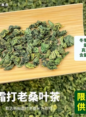 正宗霜打桑叶茶中药材老桑树叶泡水正品霜桑叶冬桑叶干桑叶桑葚叶