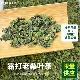 正宗霜打桑叶茶中药材老桑树叶泡水正品 霜桑叶冬桑叶干桑叶桑葚叶