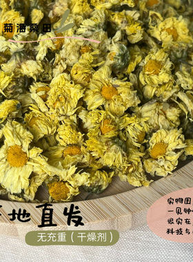 菊花茶白菊花特产级桐乡正宗杭白菊泡水正品菊花中药材杭菊胎菊干