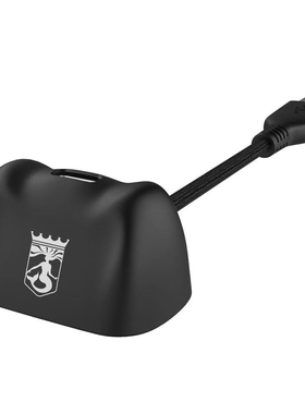 BINGLEU音频解码Typec转USB转接延长线耳机转接线适用宾果耳机