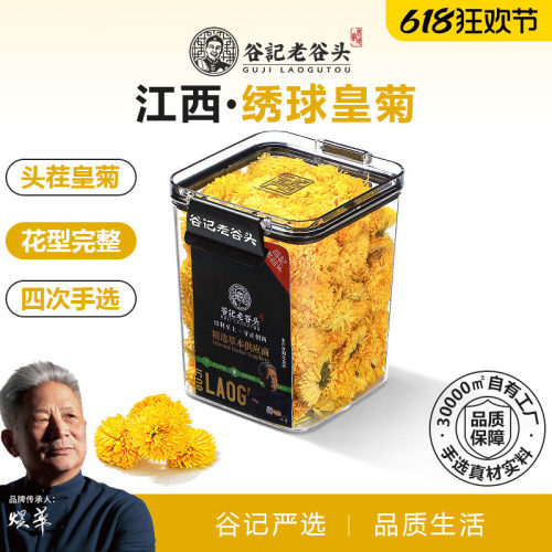 绣球黄菊，菊香浓郁，均匀饱满