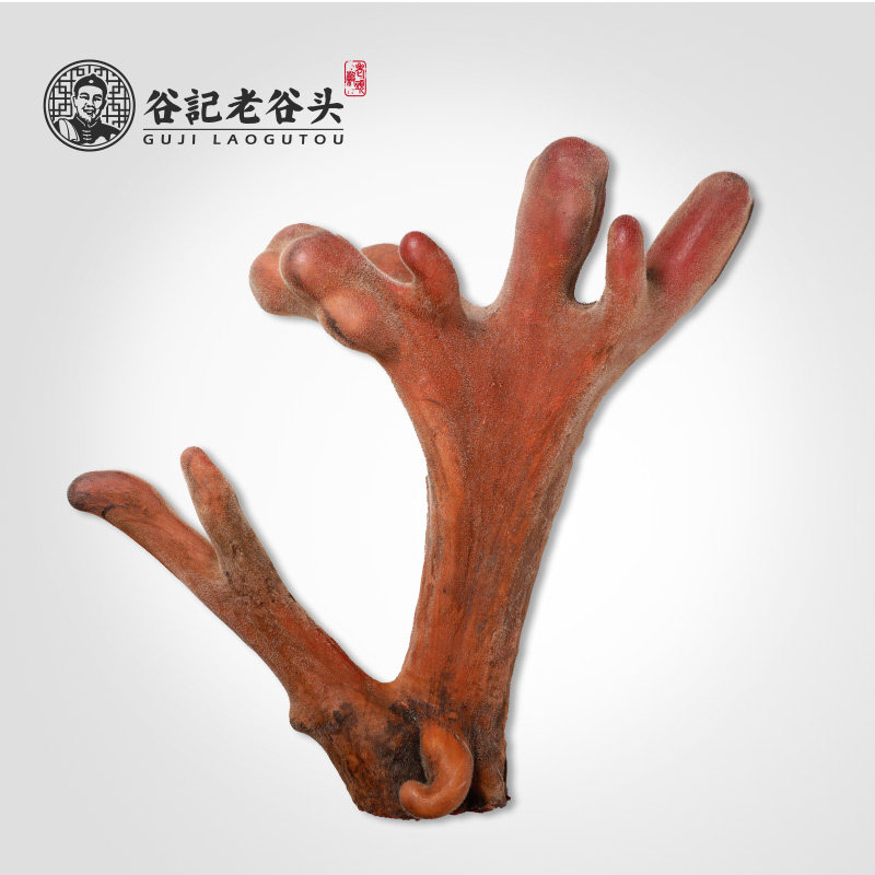 老谷头2020新货吉林梅花鹿茸鲜鹿茸5282克整枝鹿茸头茬二杠泡酒