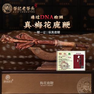 老谷头吉林梅花鹿鞭礼盒装 男性补品泡酒料干鹿鞭整根可搭配鹿茸片