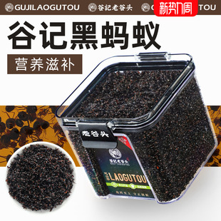 长白山黑蚂蚁营养蚁酸春蚁无硫滋补黑蚂蚁