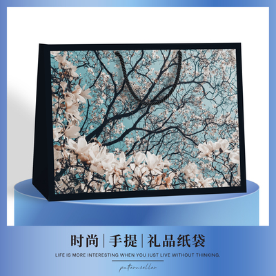 轻奢礼品袋服装店手提袋加厚大号
