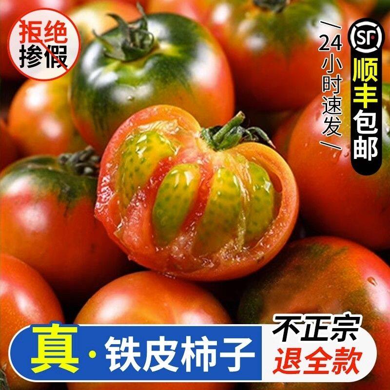 自然成熟草莓柿子不正宗不要钱