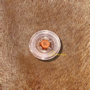 芬兰北极圈欧元纪念币“消失的硬币”1分币