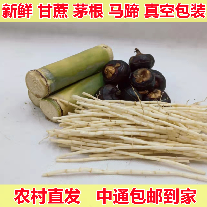 甘蔗马蹄茅根新鲜广式糖水儿童清补甜凉汤养生壶配料毛草根白茅根