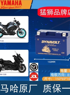 雅马哈XMAX YP400 300 250 125 MT03 xt660z摩托电瓶蓄电池GT9B-4