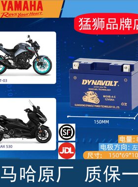 猛狮摩托车电瓶12v通用雅马哈