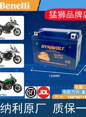 贝纳利黄巡BJ600GS猛狮电瓶