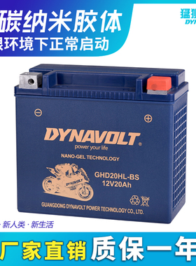 摩托车电瓶适用于本田金翼GL1800 Gold Wing Valkyrie北欧女神12V