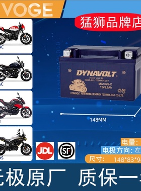 适用隆鑫GP150 GP250无极200R 300AC LX150-56-56A-59电瓶蓄电池