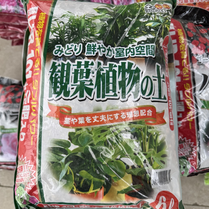 日本产观叶植物用配方土 原装6升 赤玉腐殖质泥炭防根腐肥101颗粒