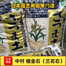 植金石萨摩土日本产原装土兰花土山野草石兰草植料中村原装万年青