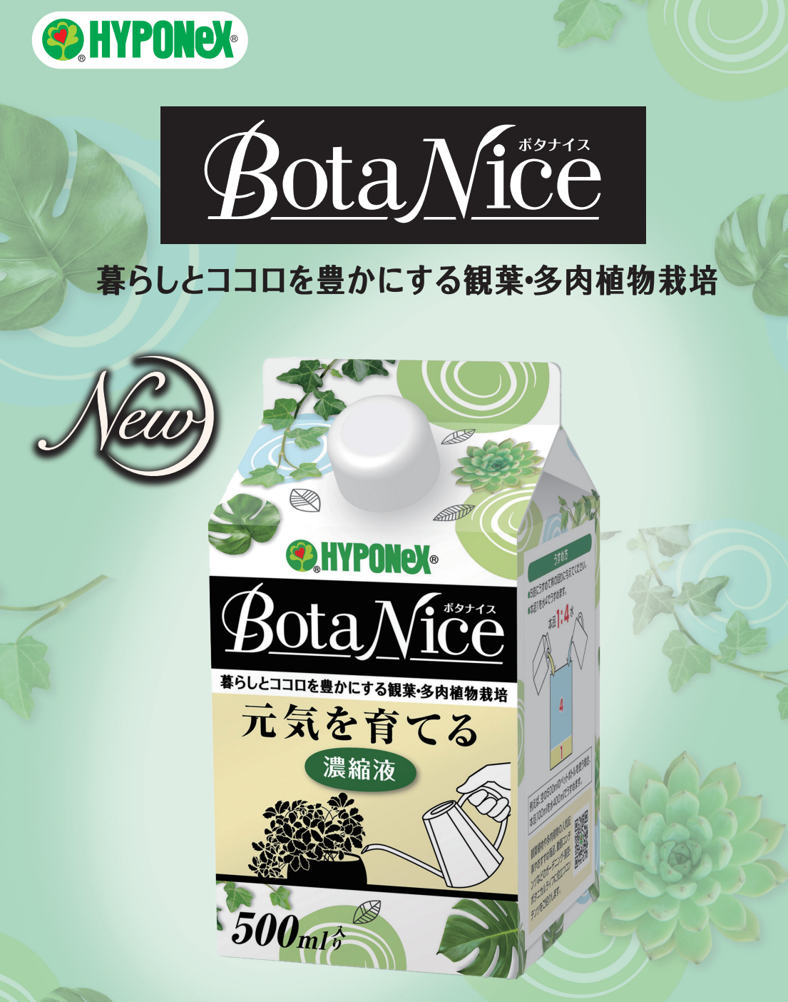 HYPONEX观叶植物增色防徒长