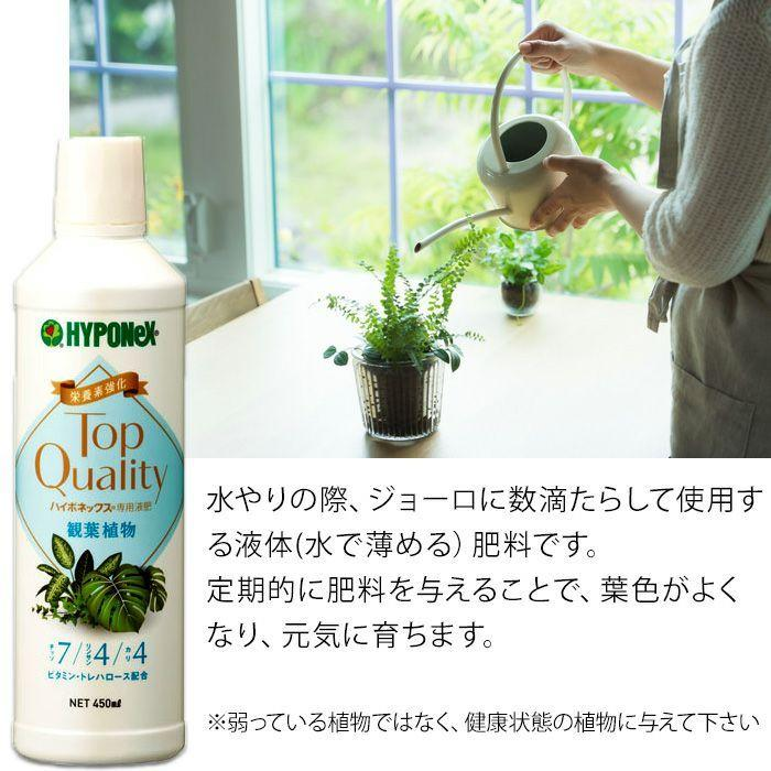 观叶植物专用液体肥营养液油画 绿萝 吊兰芦荟龟背竹琴叶榕水肥