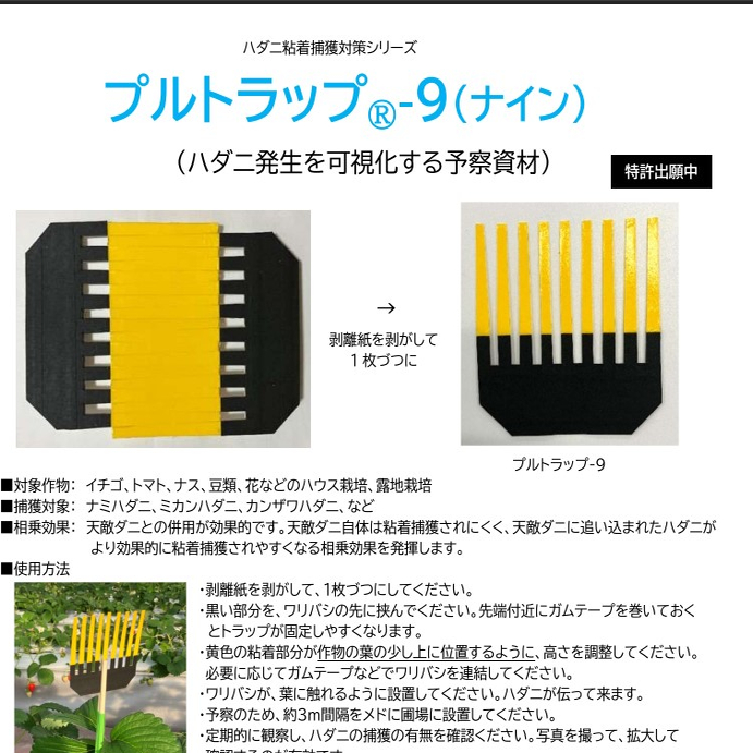 针对叶螨红蜘蛛特性日本农业大学共同研分日本产粘虫黄板树叉型板