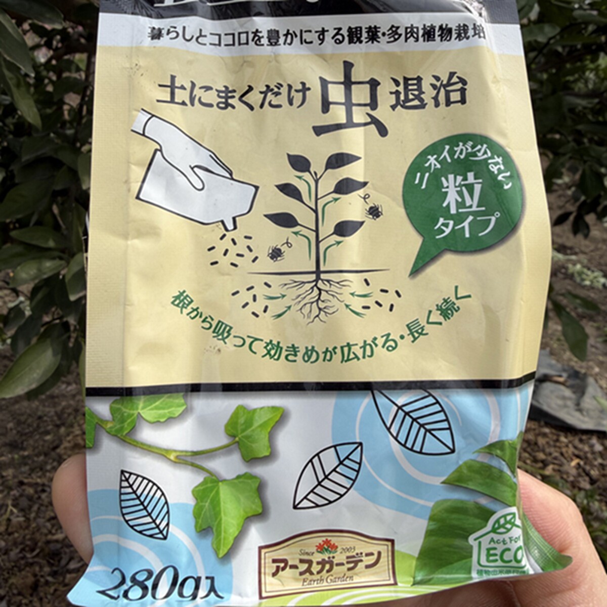 虫退治原装日本产观叶/多肉植物蚜虫白粉虱蚧壳虫蓟马根蚜粉蚧盆