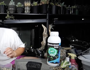 日本龙舌兰UP主推荐低磷低钾高氮肥有机质肥料促生长植物水溶肥壮