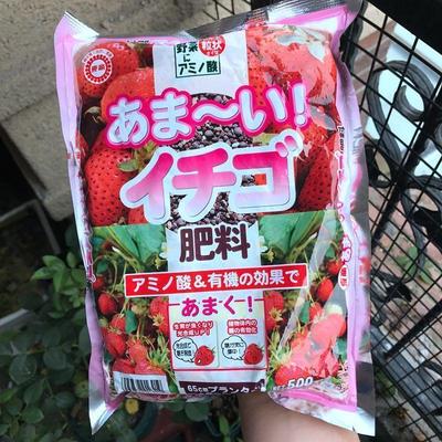 日本有机质草莓氨基酸颗粒缓释肥