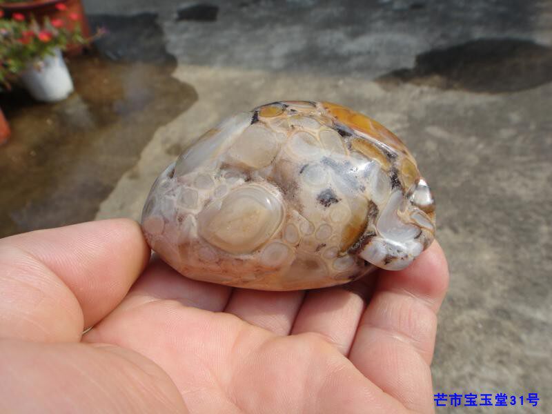 云南天然黄龙玉 特色手把件 珠宝奇石 蛋子凝结团坡原封 招财金蟾