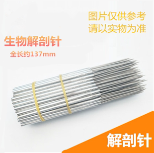 探针 教学仪器生物解剖针 生物实验用品 不锈钢解剖针 昆虫解剖