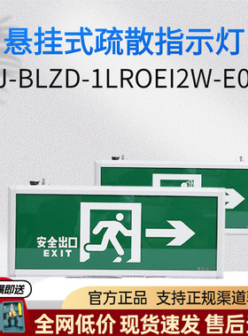 三雄极光应急灯悬挂式08款带蓄电池疏散指示灯SJBLZD1LROEI2WE02A