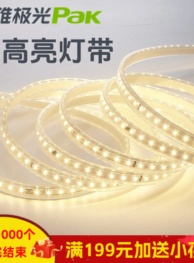 三雄极光led灯带220v光河软灯带超亮led灯条灯带插头电源线8W配件