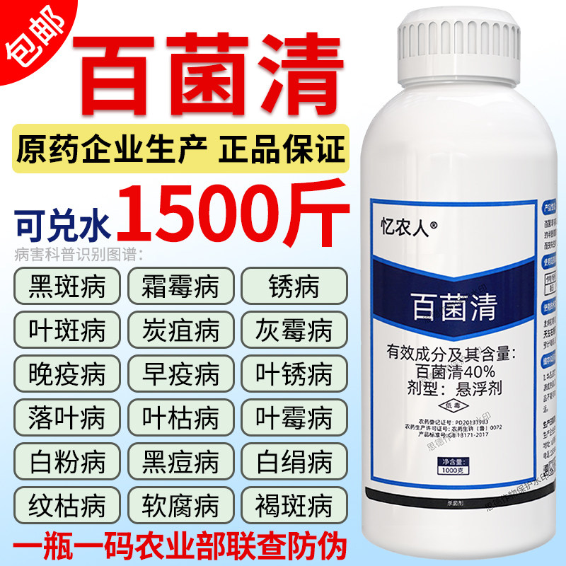 百菌清杀菌剂白粉病霜霉病多菌灵黑斑病疫病果树植物花卉多肉农药