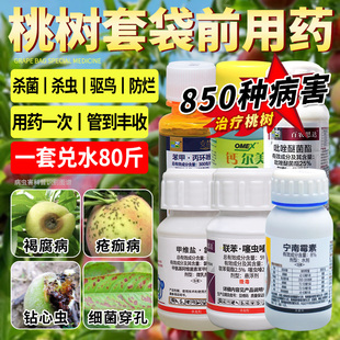 桃树套袋药灰霉褐腐疮痂细菌性穿孔裂果青虫蚜虫蚧壳虫白粉虱农药
