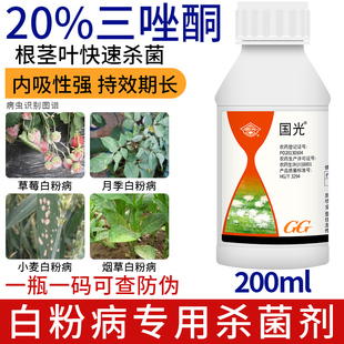 国光三唑酮农药小麦花卉草莓白粉病锈病专用药三矬铜粉锈宁杀菌剂