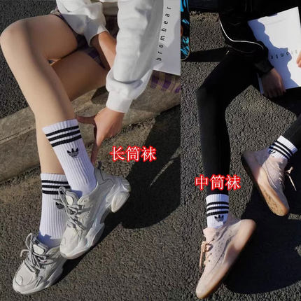 毛巾底秋冬袜子男女中筒长筒纯棉防臭吸汗篮球毛圈保暖加厚运动袜