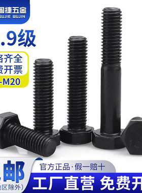 12.9级黑色外六角螺丝M5M6M8M10-M22半牙全牙高强度螺钉加长丝杆