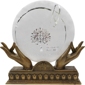 白茶 2023年月光白 钢琴漆景德镇瓷盘 柏联普洱 礼盒装 饼茶357g